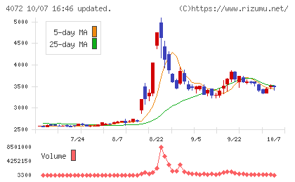電算システムホールディングスチャート
