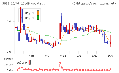 テーオーホールディングスチャート