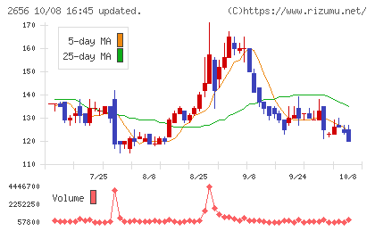 ベクターホールディングスチャート