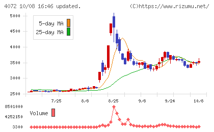 電算システムホールディングスチャート