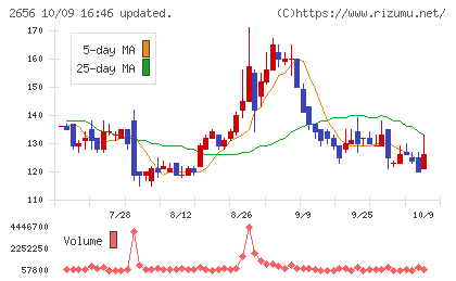 ベクターホールディングスチャート
