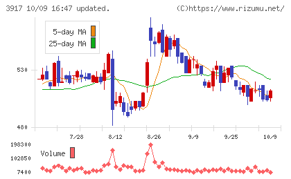 アイリッジチャート