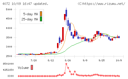 電算システムホールディングスチャート