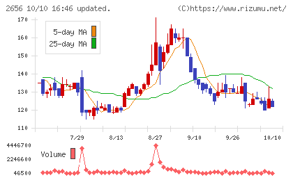 ベクターホールディングスチャート