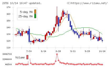 ベクターホールディングスチャート