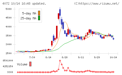電算システムホールディングスチャート