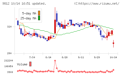 テーオーホールディングスチャート