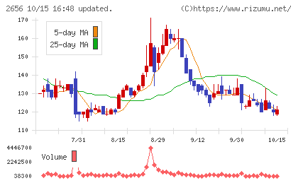 ベクターホールディングスチャート