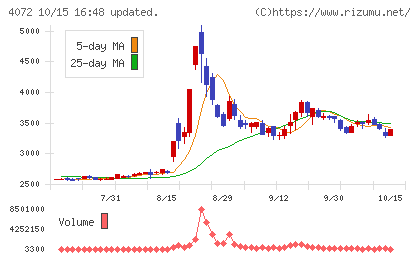 電算システムホールディングスチャート