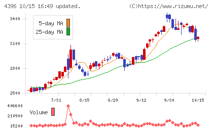 システムサポートホールディングスチャート
