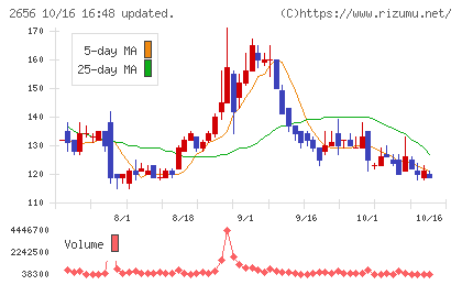 ベクターホールディングスチャート