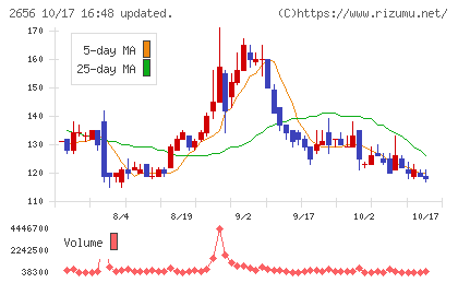 ベクターホールディングスチャート