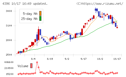 システムサポートホールディングスチャート