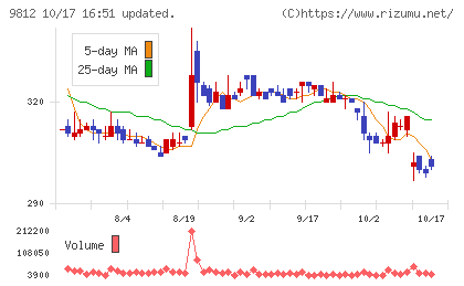 テーオーホールディングスチャート
