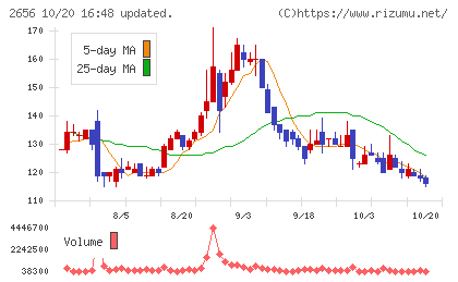 ベクターホールディングスチャート