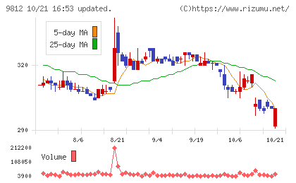 テーオーホールディングスチャート