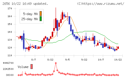 ベクターホールディングスチャート