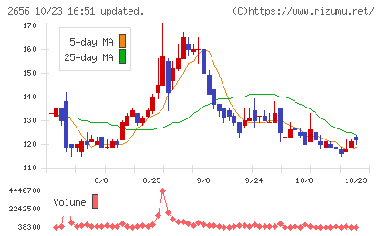 ベクターホールディングスチャート