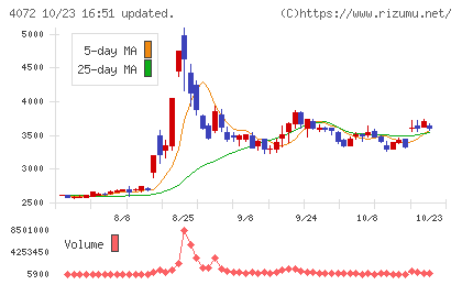 電算システムホールディングスチャート