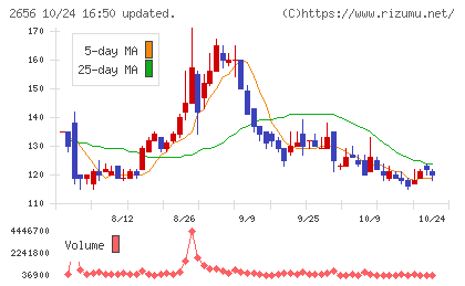 ベクターホールディングスチャート