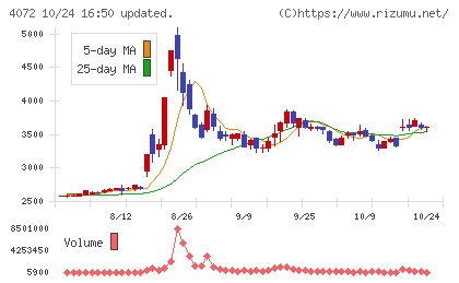 電算システムホールディングスチャート