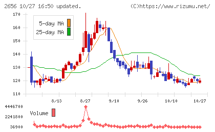 ベクターホールディングスチャート