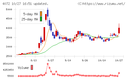 電算システムホールディングスチャート