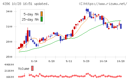 システムサポートホールディングスチャート
