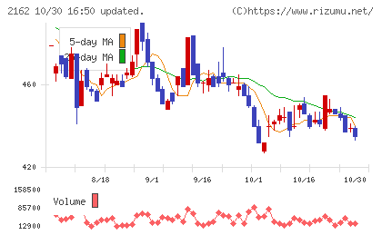 ｎｍｓホールディングスチャート