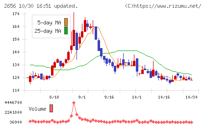 ベクターホールディングスチャート