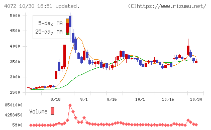 電算システムホールディングスチャート