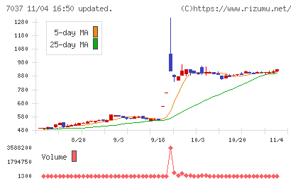 テノ．ホールディングスチャート