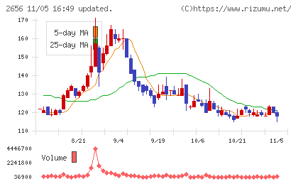 ベクターホールディングスチャート