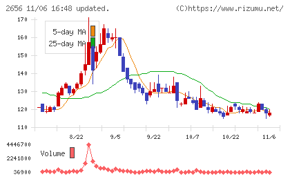 ベクターホールディングスチャート