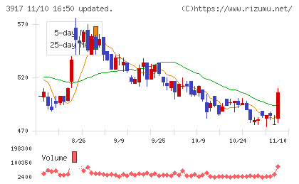 アイリッジチャート