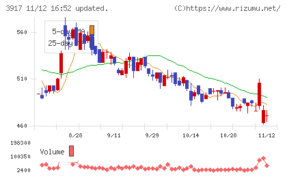 アイリッジチャート