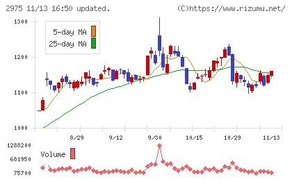 スター・マイカ・ホールディングス