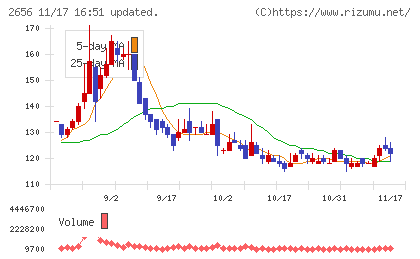 ベクターホールディングスチャート