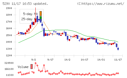 ベルテクスコーポレーションチャート