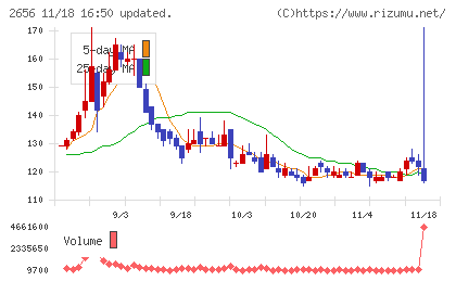ベクターホールディングスチャート