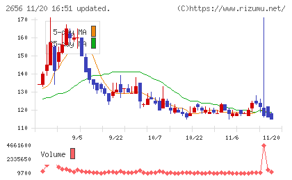 ベクターホールディングスチャート