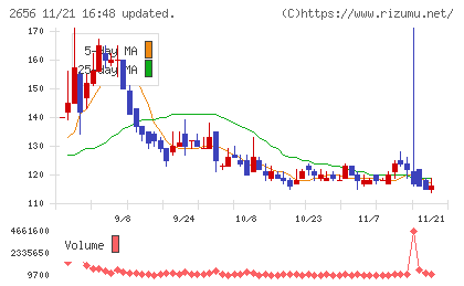 ベクターホールディングスチャート