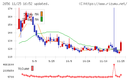 ベクターホールディングスチャート