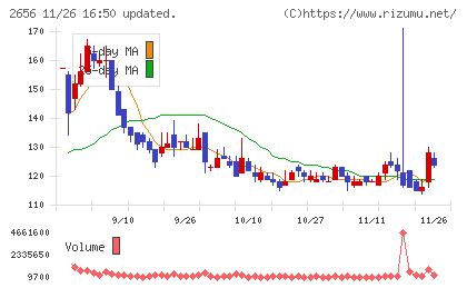 ベクターホールディングスチャート