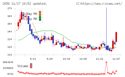 ベクターホールディングスチャート