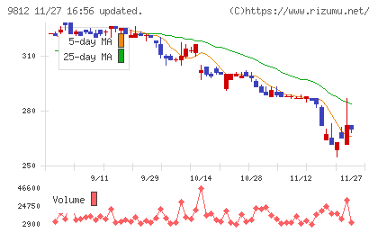 テーオーホールディングスチャート