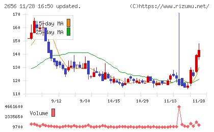 ベクターホールディングスチャート