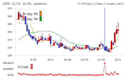 ベクターホールディングスチャート
