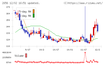 ベクターホールディングスチャート