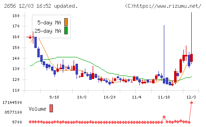 ベクターホールディングスチャート